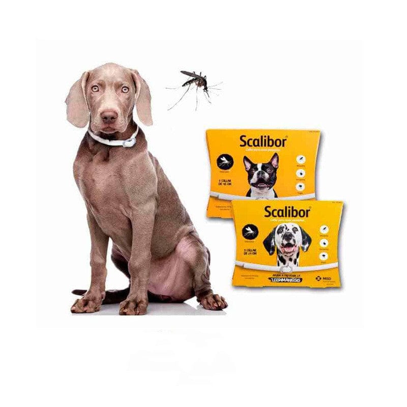Collier anti-puces Scalibor pour chien avec sachets de traitement pour chien et chat.