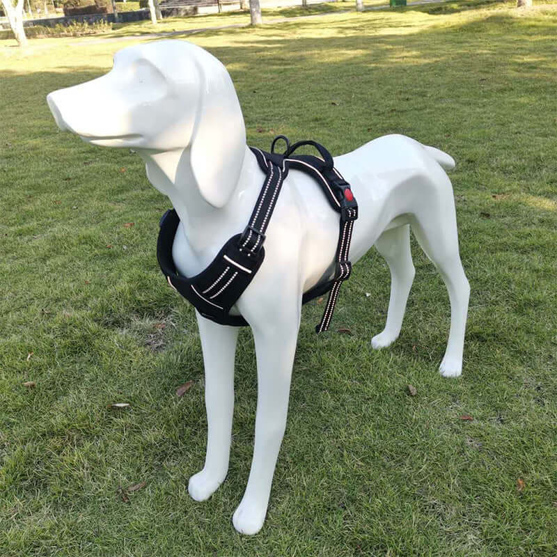 Harnais de traînée pour chien noir sur un mannequin de chien dans un parc.