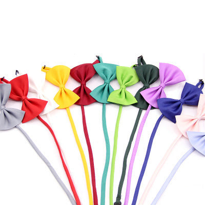 Nœuds papillon colorés en coton biologique pour animaux, disponibles en plusieurs teintes élégantes.