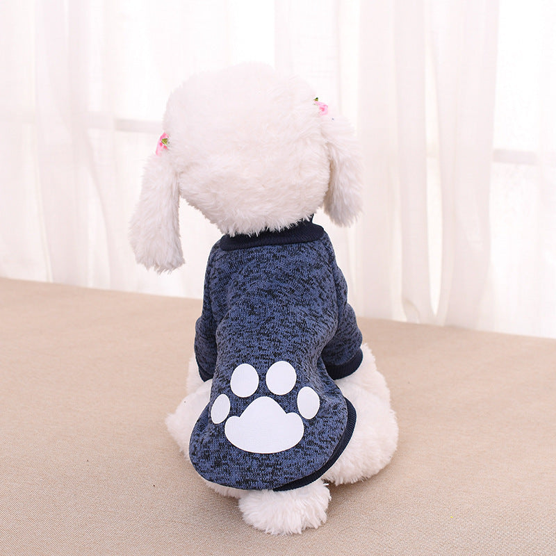 Chien en pull en laine bleu avec motif de patte sur le dos, assis sur un tapis près d'une fenêtre.