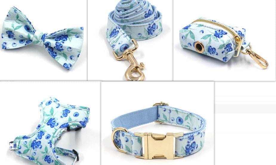 Ensemble harnais et laisse à motif myrtille pour animaux, incluant un nœud papillon et une pochette pratique.