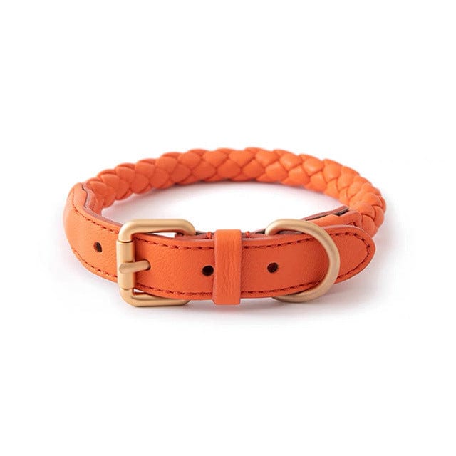Collier en cuir orange tressé avec fermoir en métal pour grands chiens, alliant style et sécurité.