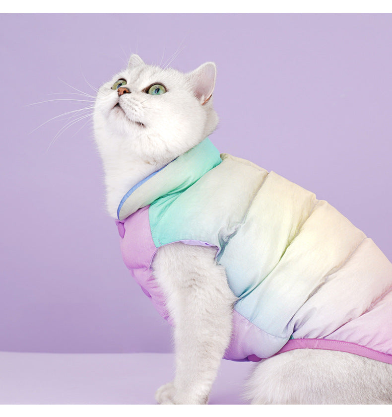 Gilet coloré pour chat, tendance et chaud, parfait pour l'hiver en coton biologique.
