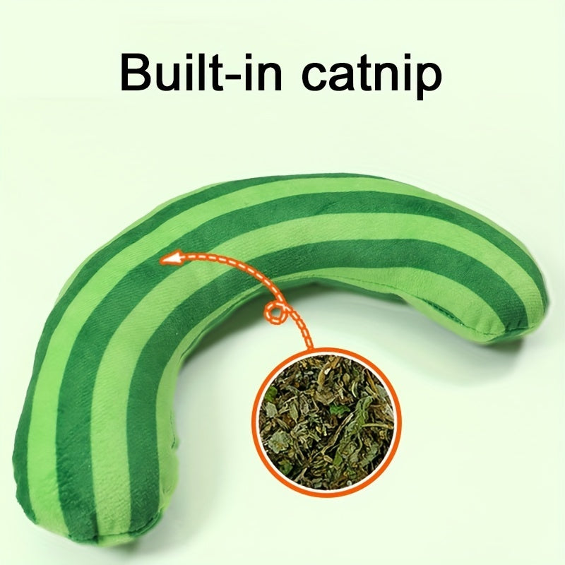 Set de Jouets pour Chats avec Jouet Sonore et Coussin en Catnip