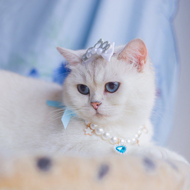 Chat blanc avec un nœud et un collier perlé, montrant élégance et style dans un décor doux.