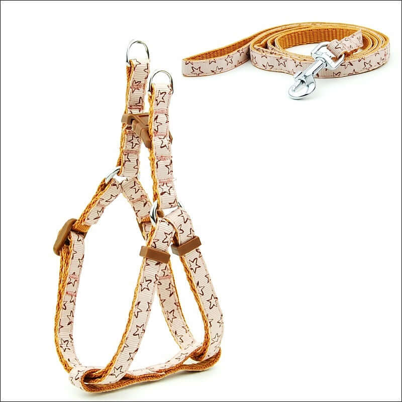 Laisse pour animaux à pois et harnais confortable pour chiens, élégant et durable, idéal pour les petites et moyennes tailles.