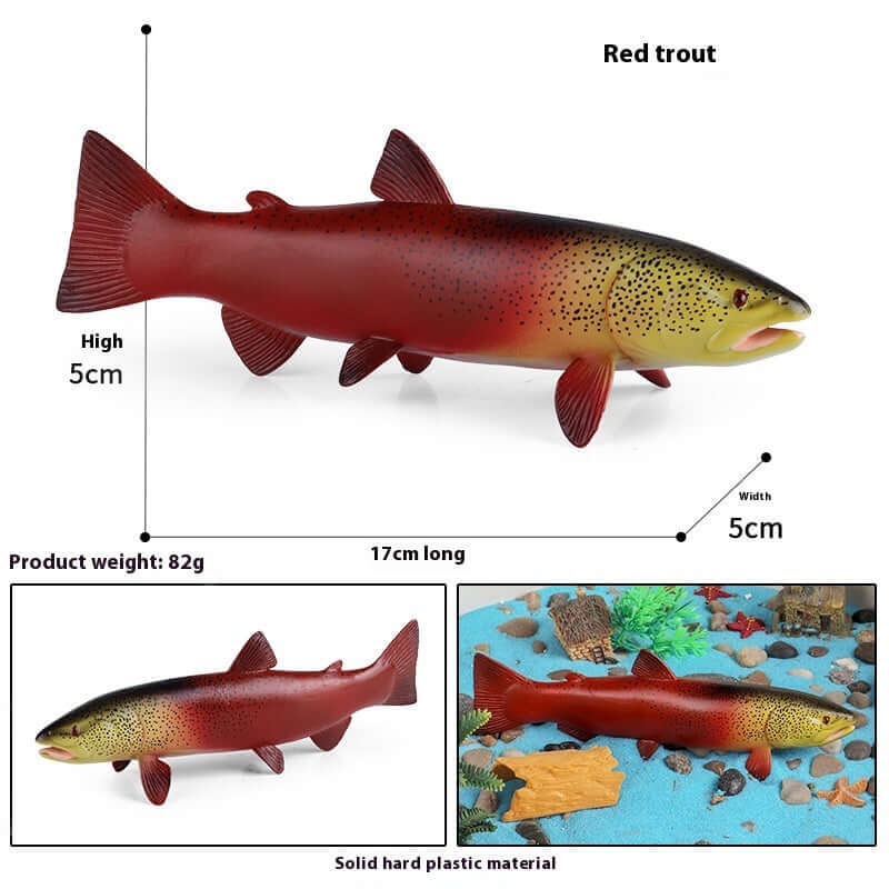 Modèle de truite rouge en plastique, jouet éducatif pour enfants, mesure 17cm de long et 5cm de haut.
