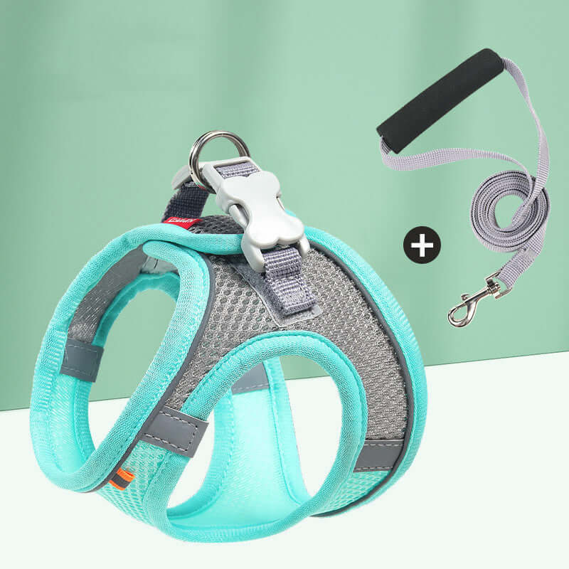 Harnais de poitrine en maille turquoise pour chien avec laisse réfléchissante, sécurisé et confortable.
