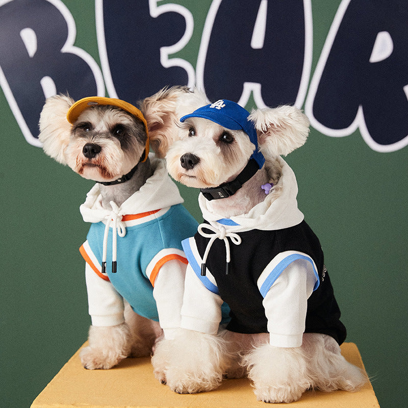 Deux chiens habillés en pull à capuche coloré, posant avec des casquettes devant un fond vert.