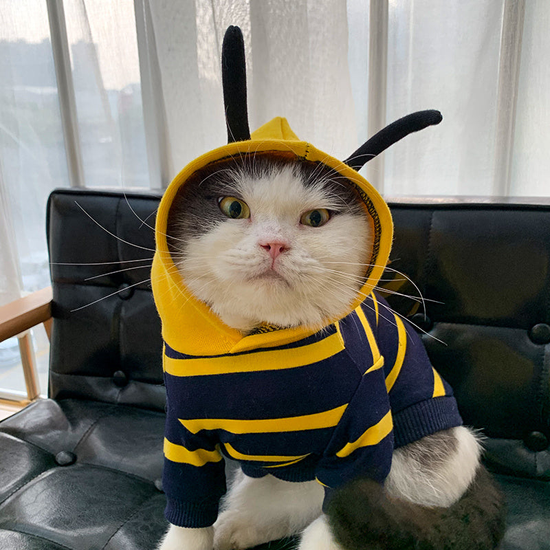 Chat portant un costume de abeille avec capuche jaune et rayures noires, assis sur un canapé.