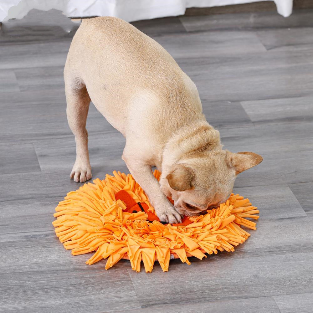 Couverture d'entraînement pour animaux - Tapis Lion