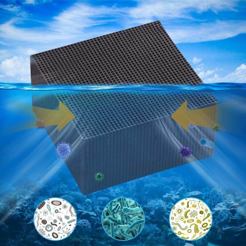 Filtre à eau en charbon actif pour aquarium, élimine 99% des bactéries et odeurs, améliore la qualité de l'eau.