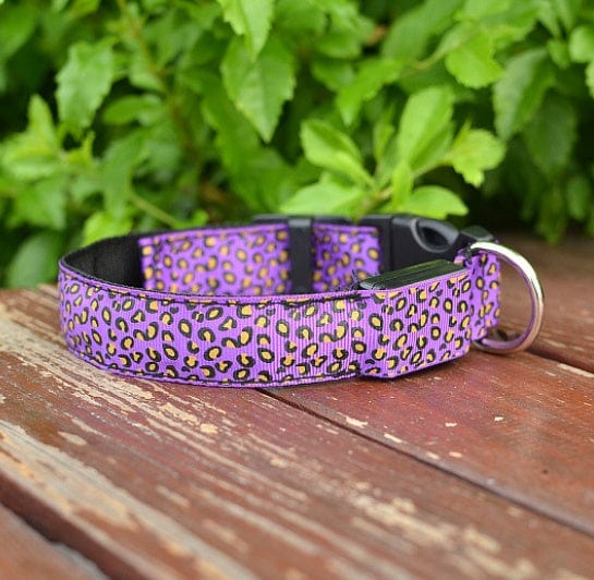 Collier LED ajustable en nylon léopard pour chien, idéal pour promenades nocturnes.