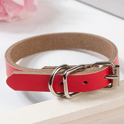Collier en cuir rouge pour chien avec chaîne pour un style unique et confort inégalé, durable et esthétique.