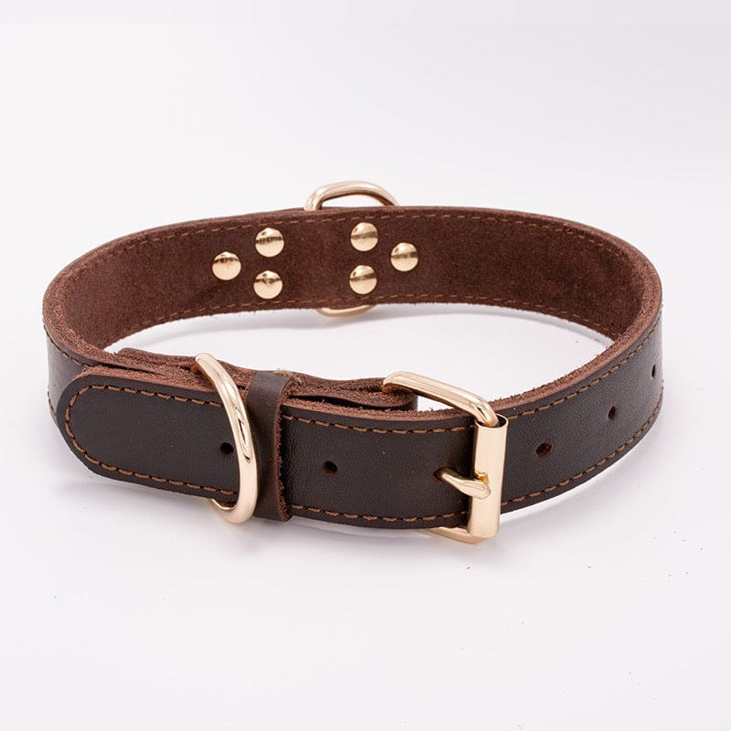 Collier pour chien en cuir durable avec boucle dorée, conçu pour le confort et le style.