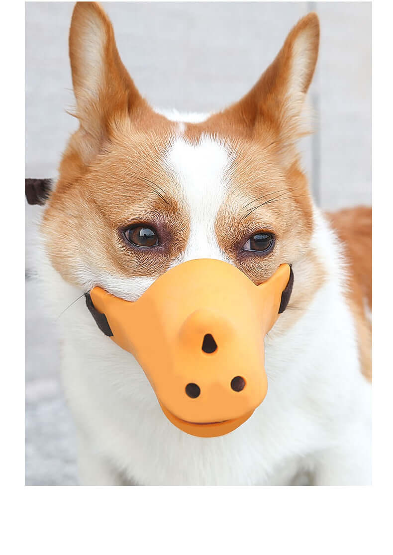 Chien portant un muselière en silicone orange, conçu pour le confort et la sécurité des animaux.