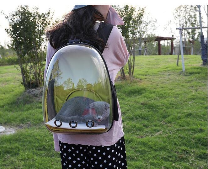 Sac à dos transparent pour animaux de compagnie avec un chat à l'intérieur, en plein air, en tissu léger.