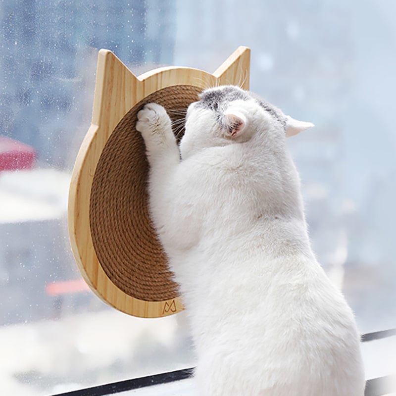 Chat utilisant une planche à gratter en bois avec ventouse, parfait pour le bien-être des félins.