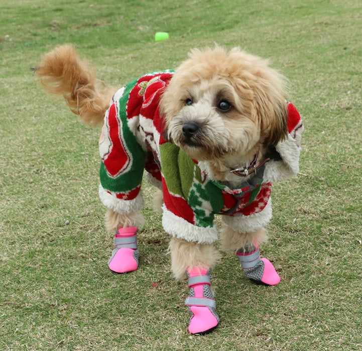 Chien mignon portant des chaussures de promenade roses et un pull coloré sur une pelouse, prêt pour une promenade.