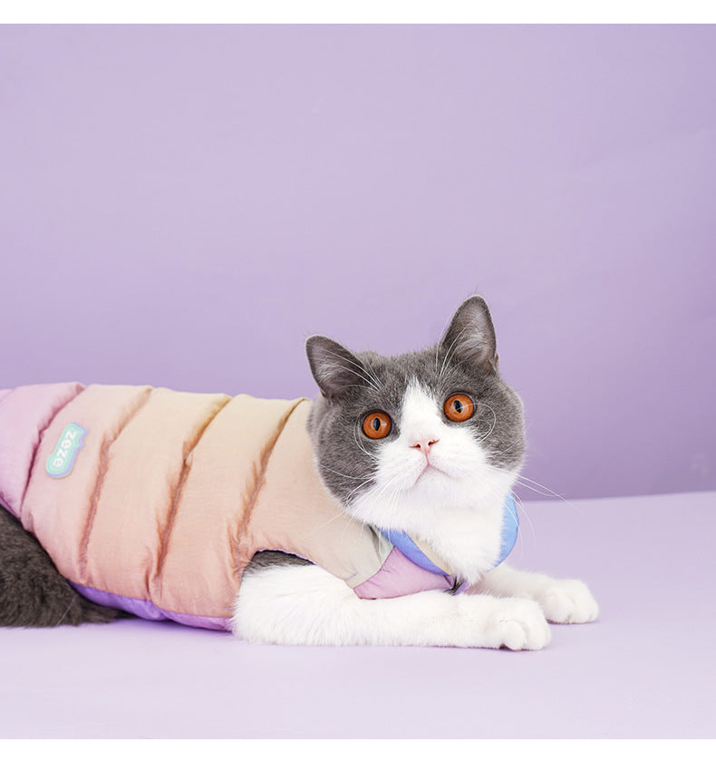 Gilet coloré pour animaux, chat confortable en vêtements d'hiver sur fond violet, ajout de style et chaleur.