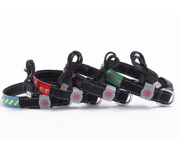 Collier LED pour chien, design coloré, avec câble USB pour illumination nocturne, sécurité et style.