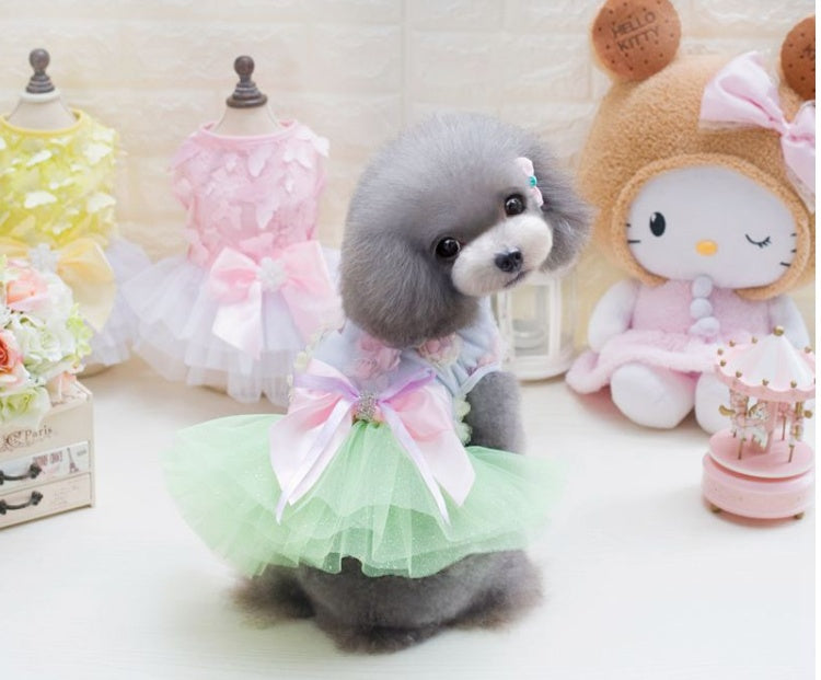 Chien en robe tutu princesse verte, accessoire élégant pour animaux, look estival adorable.