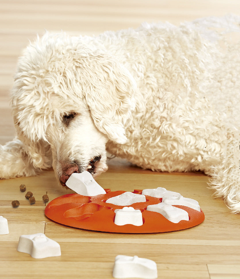 Jouets éducatifs pour animaux en plastique