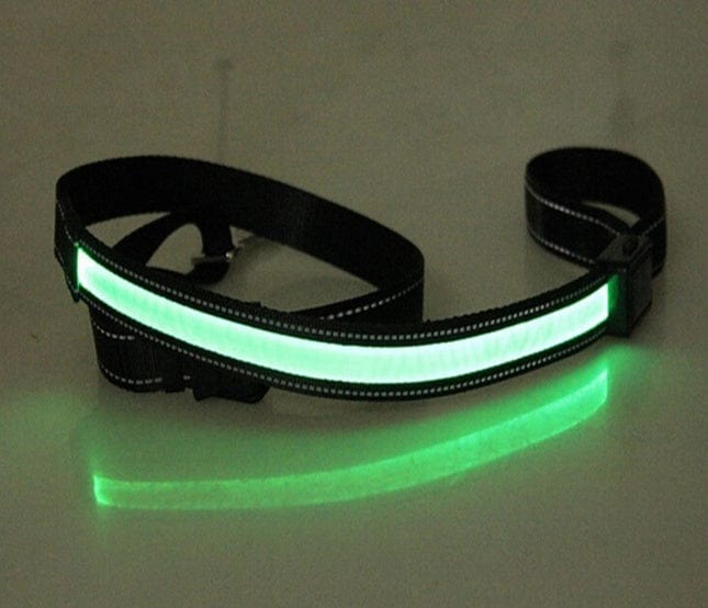 Collier de chien fluorescent rechargeable avec bande lumineuse verte pour sécurité nocturne.