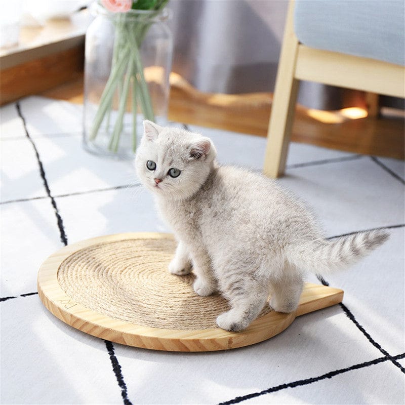 Kittens playing on a sisal scratching board designed for cats, enhancing pet well-being and play.