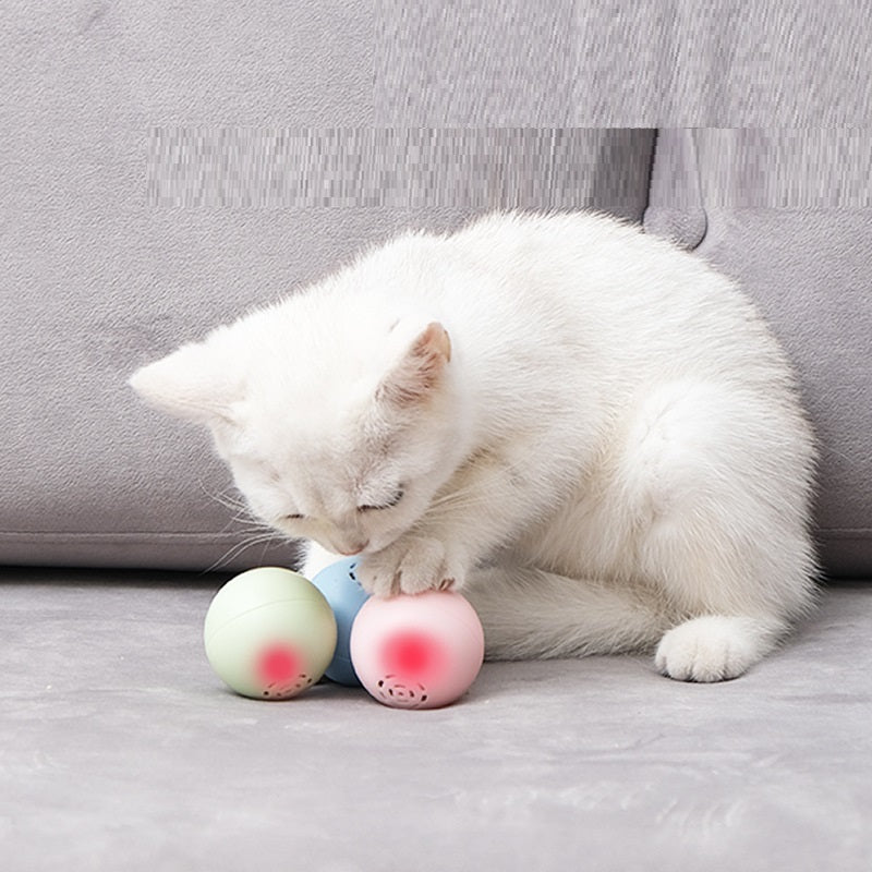 Jouet Musical Auto-Haut-Parleur pour Chats