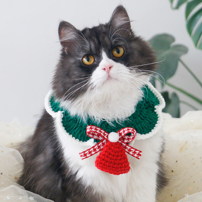 Un chat portant une écharpe de Noël tricotée, ornée d'une cloche rouge et d'un nœud festif.
