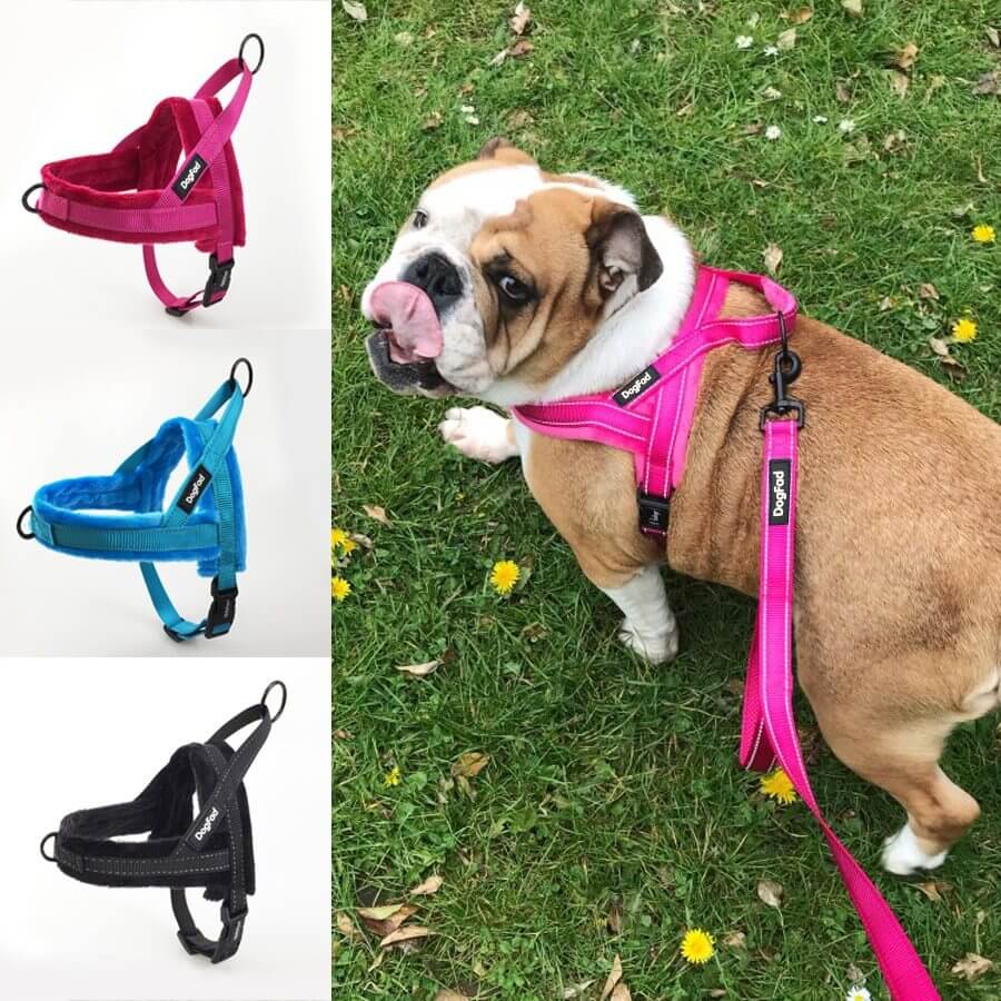 Gilet ajustable en polaire avec harnais pour chien en plusieurs couleurs sur un bulldog dans un jardin.