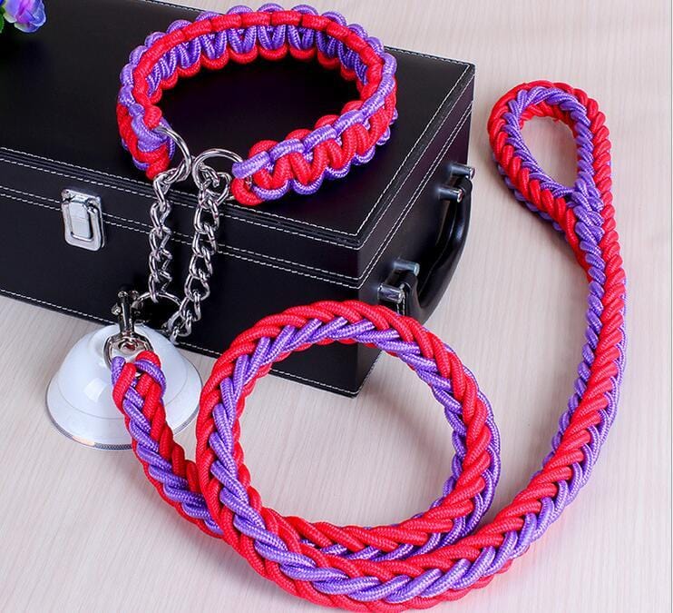 Collier et laisse pour chien en coton biologique, design coloré, longueur de laisse de 120 cm, confort et sécurité.