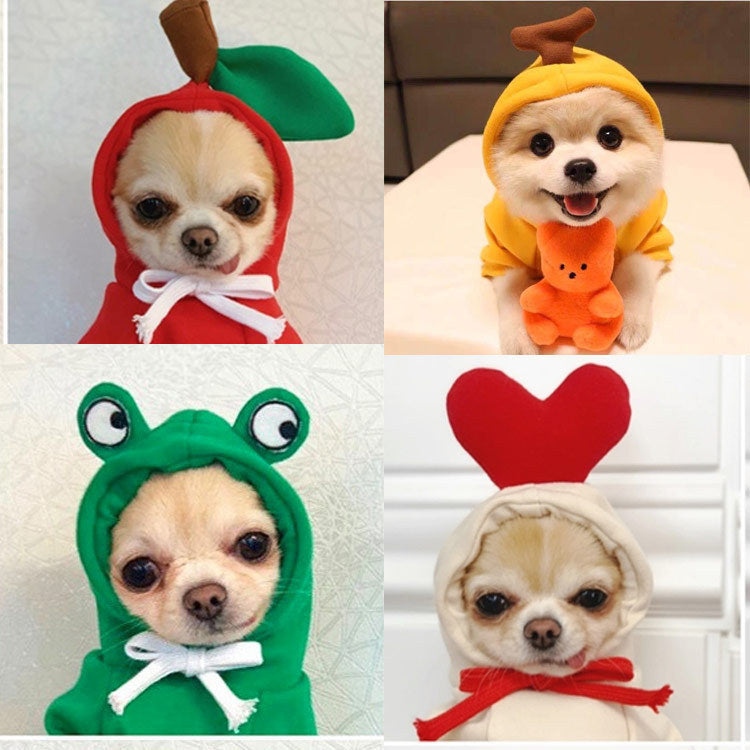 Chiens habillés en pulls colorés avec capuches, parfaits pour le confort et le style.