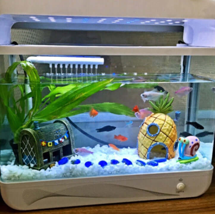 Aquarium scene featuring a pineapple decoration, colorful fish, and aquatic plants, creating a vibrant underwater paradise.