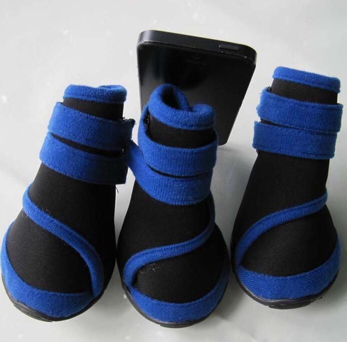 Chaussures pour grands chiens en néoprène bleu, conçues pour le confort et la protection des pattes.