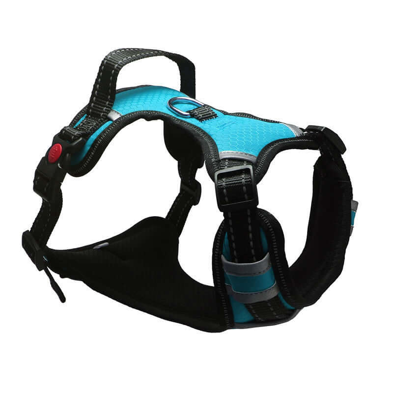 Harnais de sécurité bleu pour animaux de compagnie, confortable et résistant pour un voyage en voiture en toute sécurité.