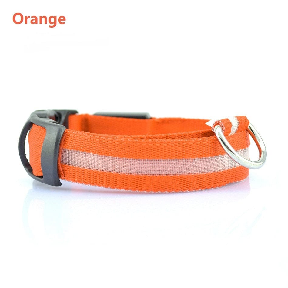Collier LED de sécurité pour chien en orange, idéal pour les promenades nocturnes.