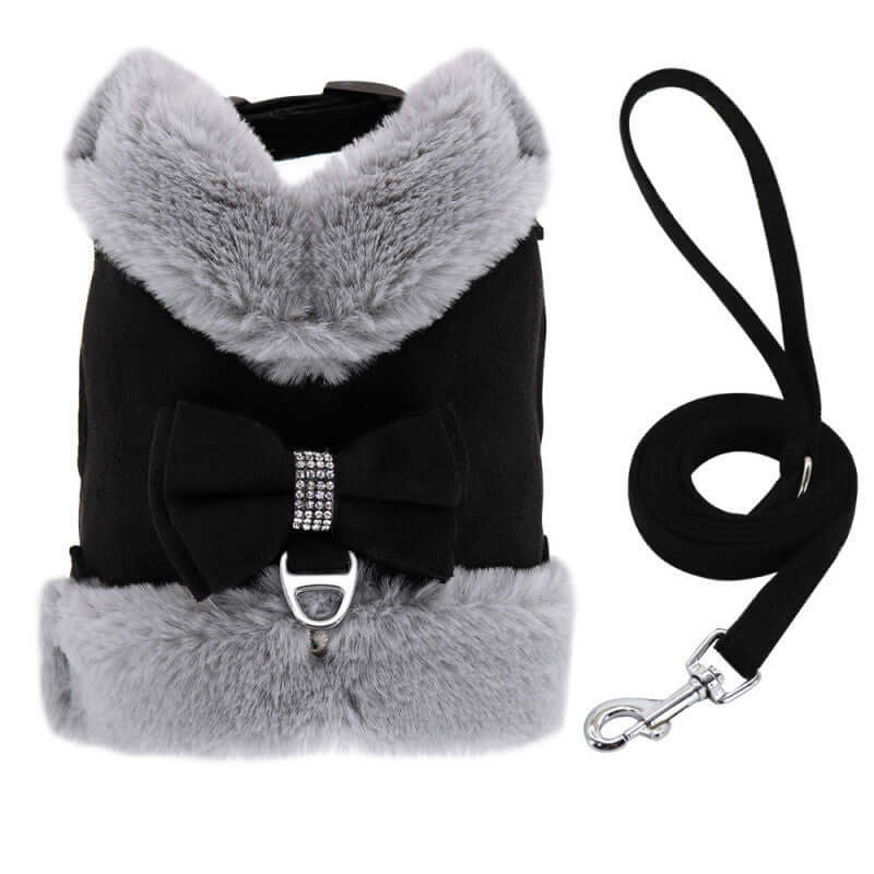 Harnais et laisse chouette pour chien avec nœud papillon en coton biologique pour petites races.