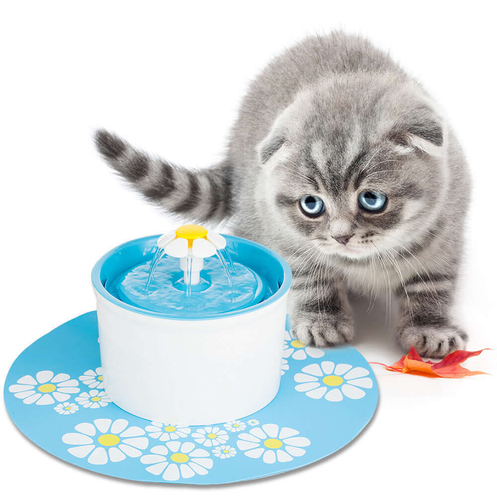 Chaton gris devant une fontaine à eau électrique bleue, équipée d'une fleur, pour une hydratation optimale.