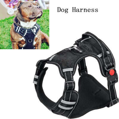 Harnais de sécurité pour chien en nylon, confortable et résistant, idéal pour la sécurité des animaux en voiture.