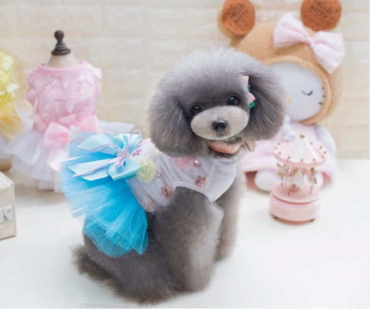 Chien avec robe tutu princesse bleu, adorable, en coton pour l'été, à côté de vêtements pour animaux.