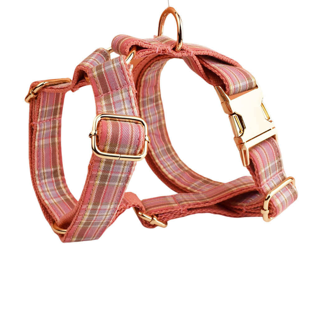 Collier et laisse à carreaux pour animaux, ensemble élégant en coton bio pour chien, avec attaches robustes.