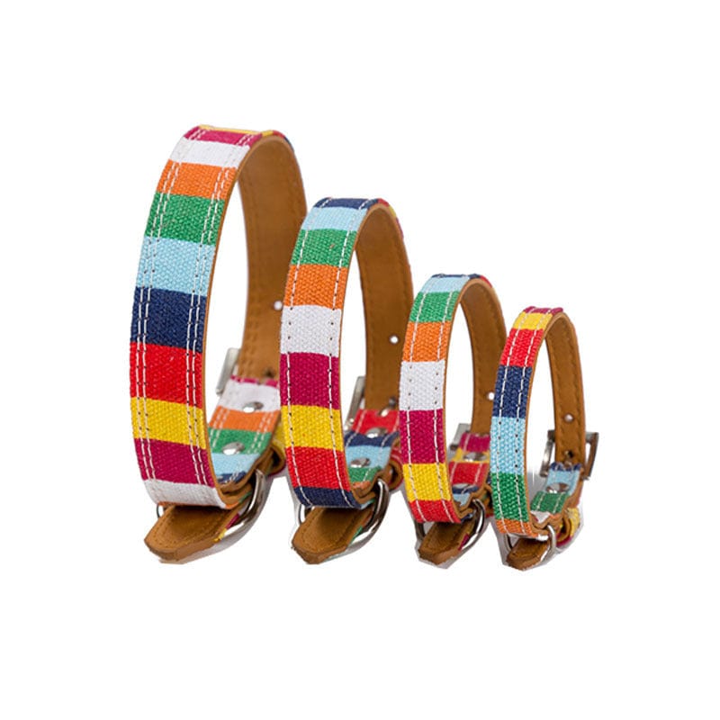 Colliers en cuir colorés pour chiens, disponibles en plusieurs tailles S, M, L, ajoutent style et confort.