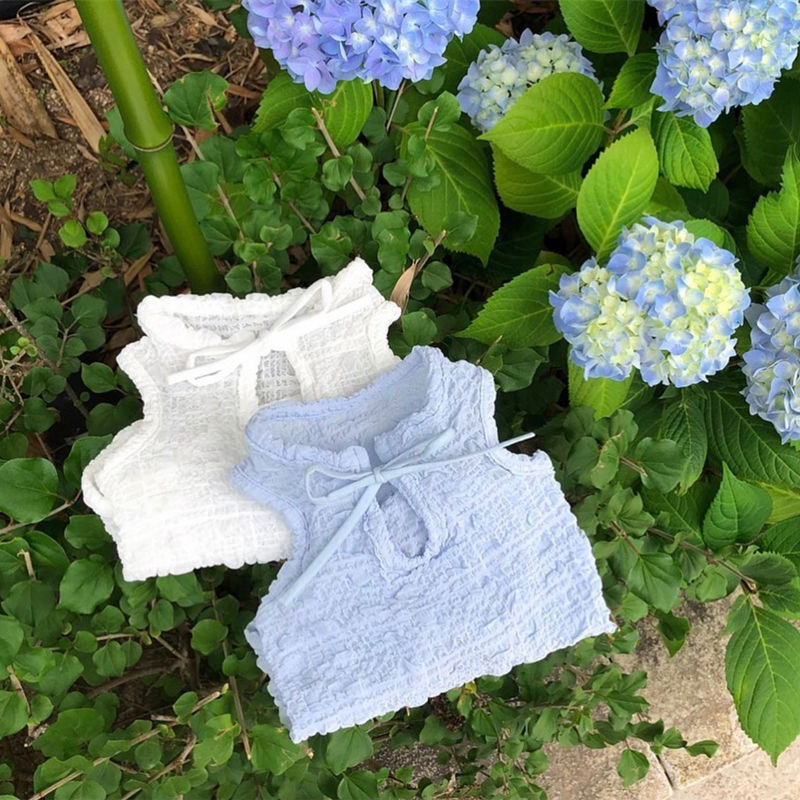 Gilet ventilé léger en bleu et blanc pour chiens et chats, posé sur un sol verdoyant avec des fleurs.