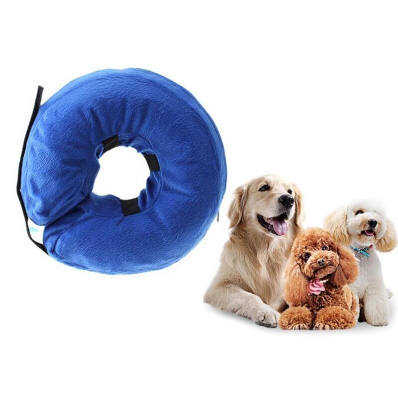 Collier gonflable protecteur bleu pour chiens avec un Golden Retriever et deux chiens de race jouant.