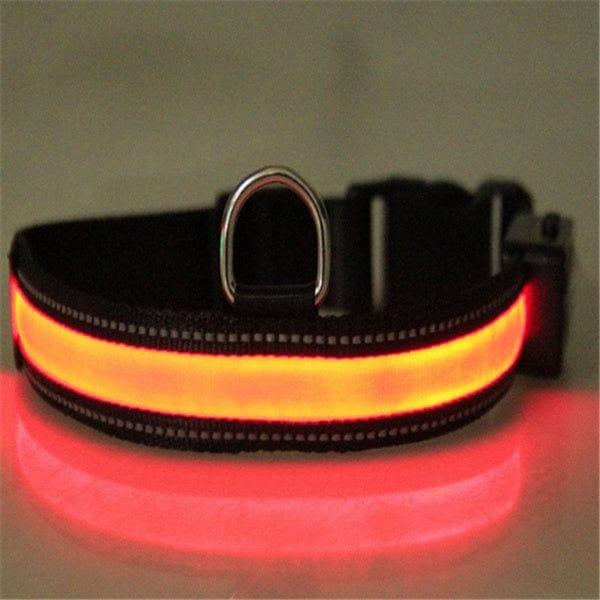 Collier de chien fluorescent noir avec bandes rouges, idéal pour la visibilité nocturne et la sécurité.
