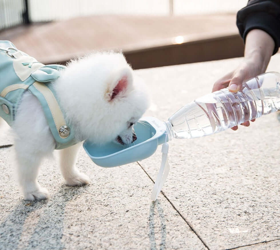 Charming portable water bottle for dogs, with a small dog drinking from it in a light blue bowl.