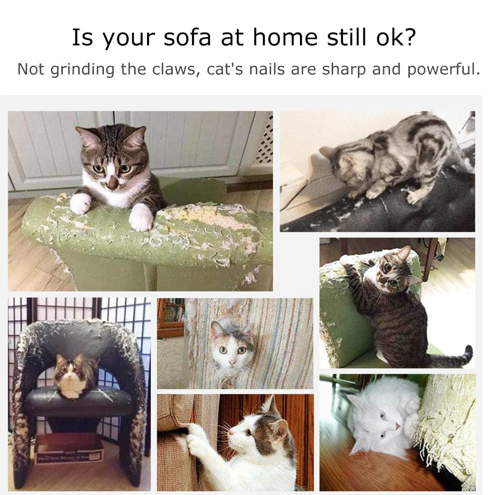 Images of cats scratching furniture, highlighting the need for furniture protection against cat claws.