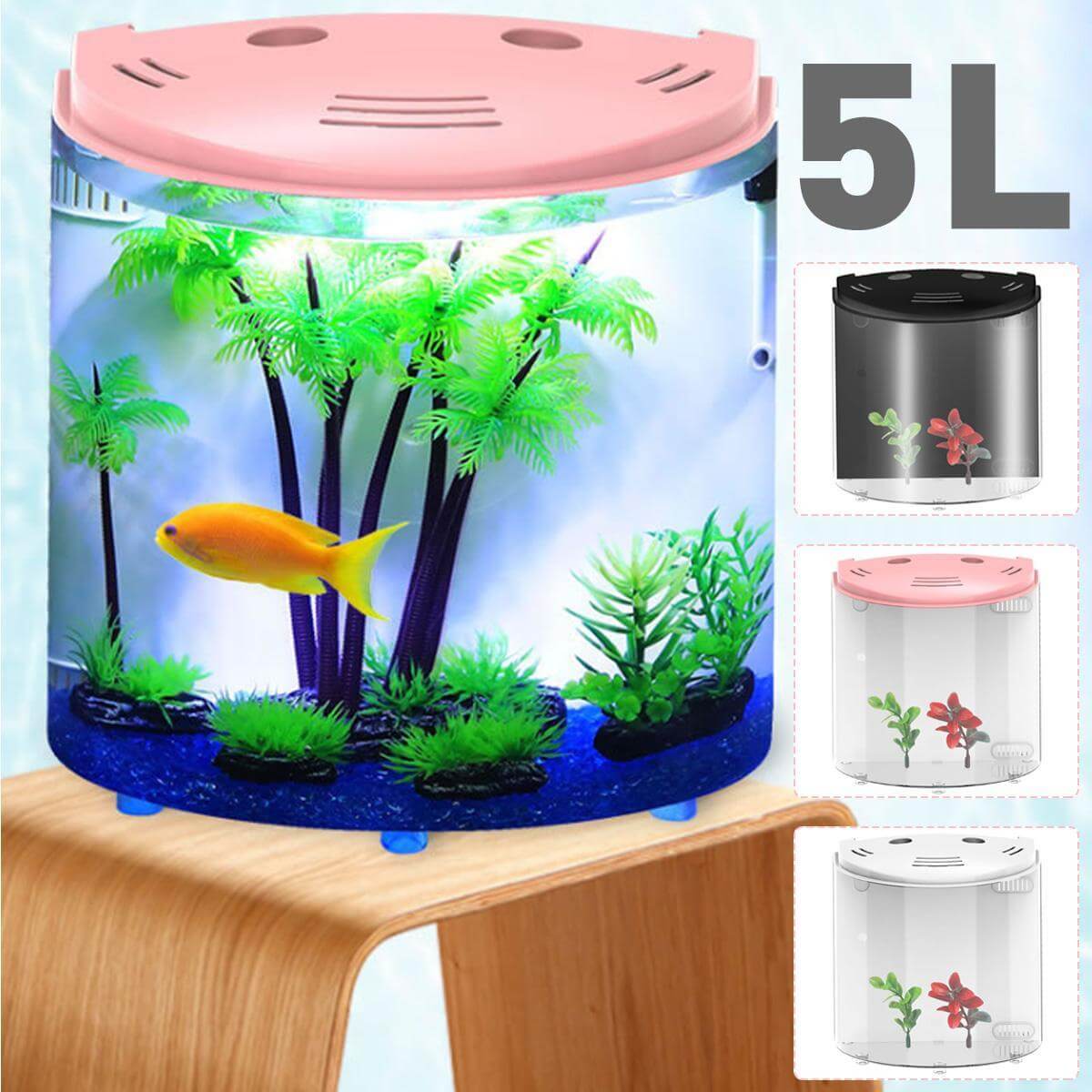 Aquarium écologique en acrylique de 5L avec des plantes aquatiques et un poisson, idéal pour les amateurs de poissons.